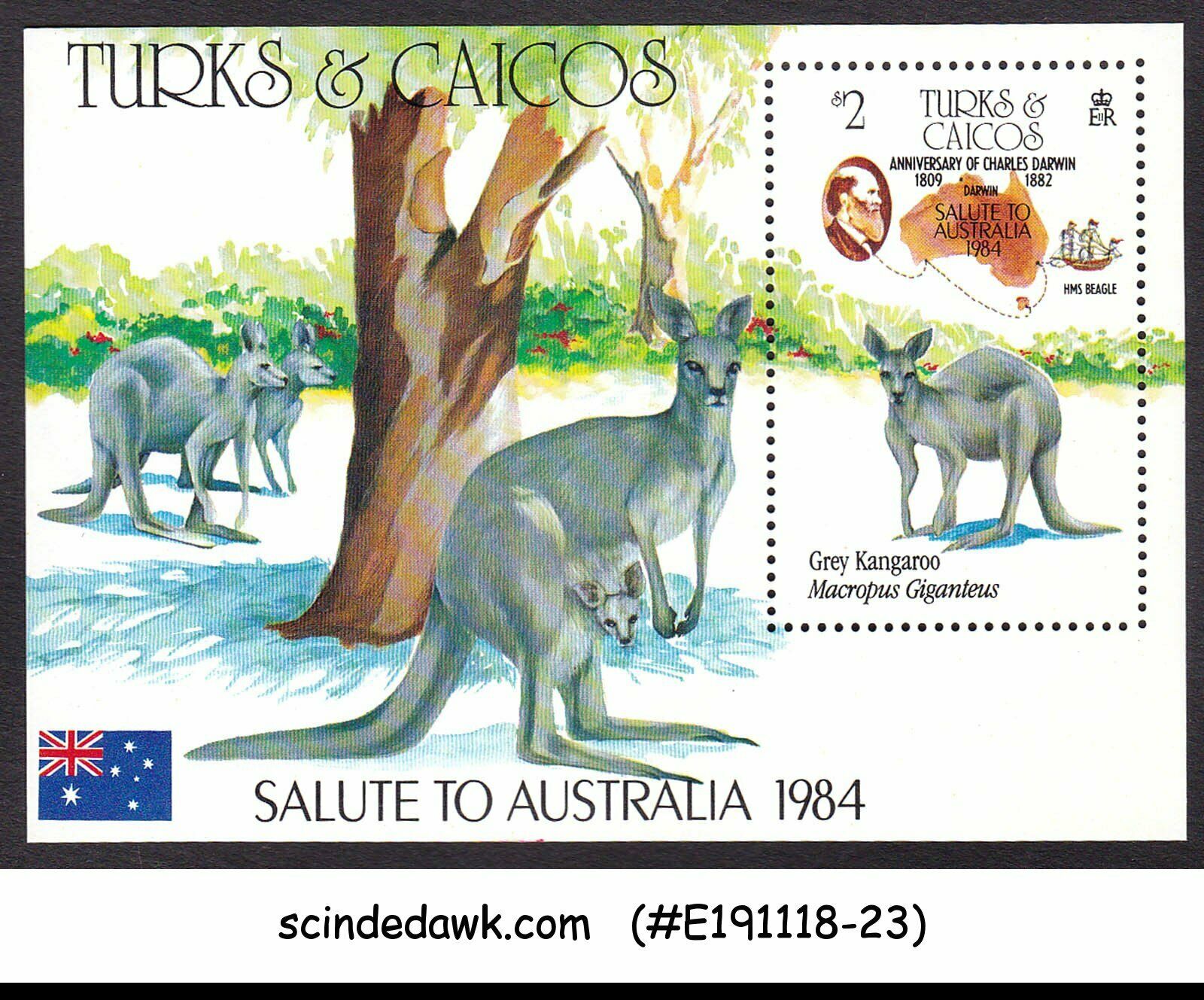 Turks & Caicos Islands - 1984 Kangaroo /animals Min/sht Mnh