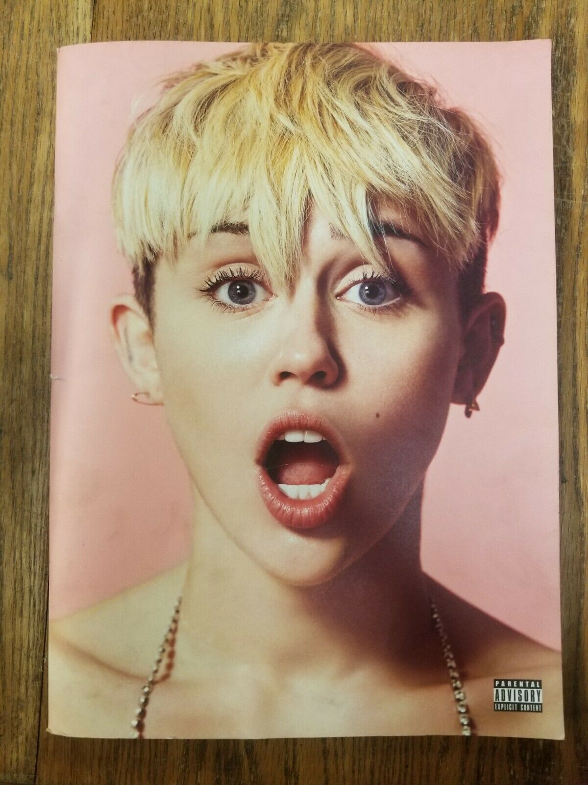 Miley Cyrus 2014 Bangerz Tour Exclusive Program - Explicit Version