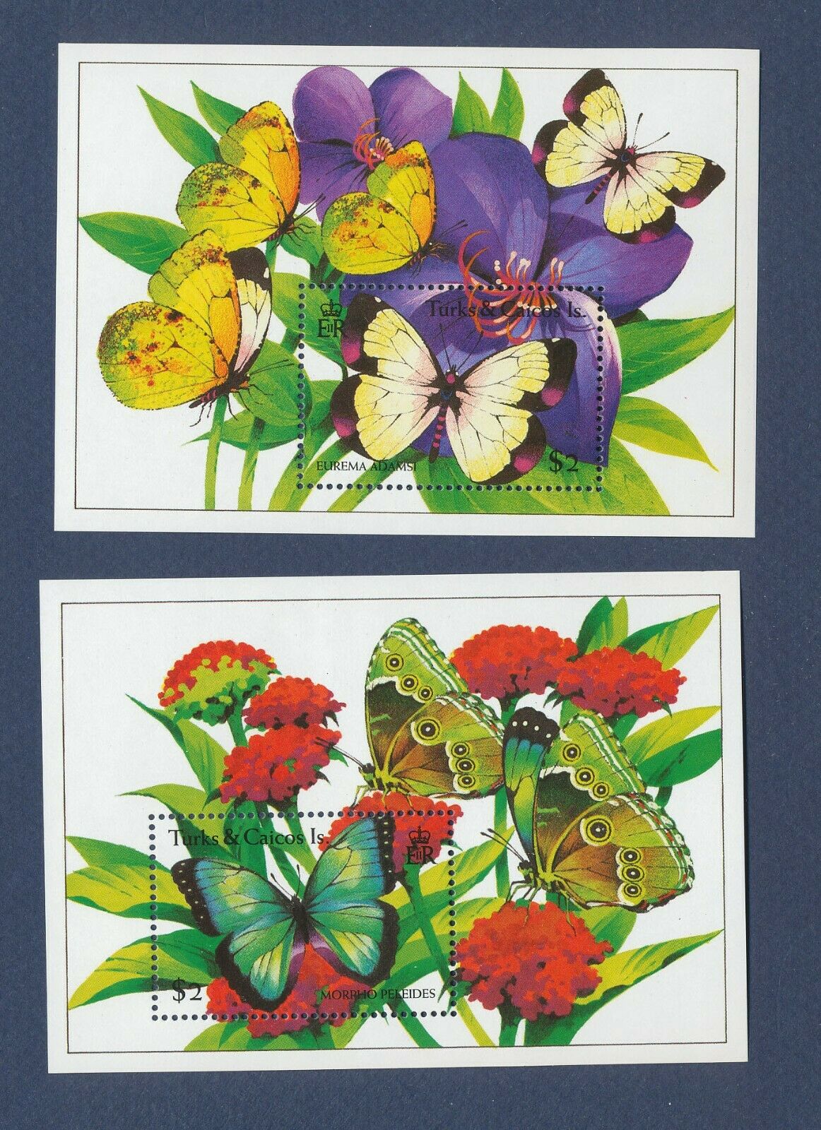 Turks & Caicos Is. - Scott 1098-1099 - Fvf Mnh S/s - Butterfly, Flowers - 1994
