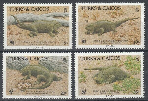 TURKS & CAICOS ISLANDS 1986 WWF IGUANA SET (4) UHM (ID:896/D17520)