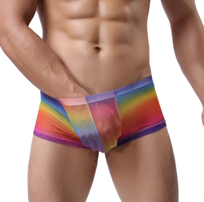 Men's Boxer Gauze Transparent Men's Panties Rainbow Gradient Slipper Sexy See Th
